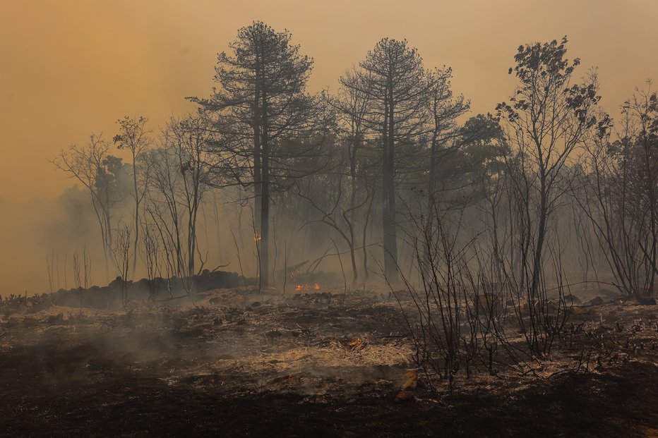 Fotografija: Selo in Kostanjevica na Krasu. FOTO: Črt Piksi
