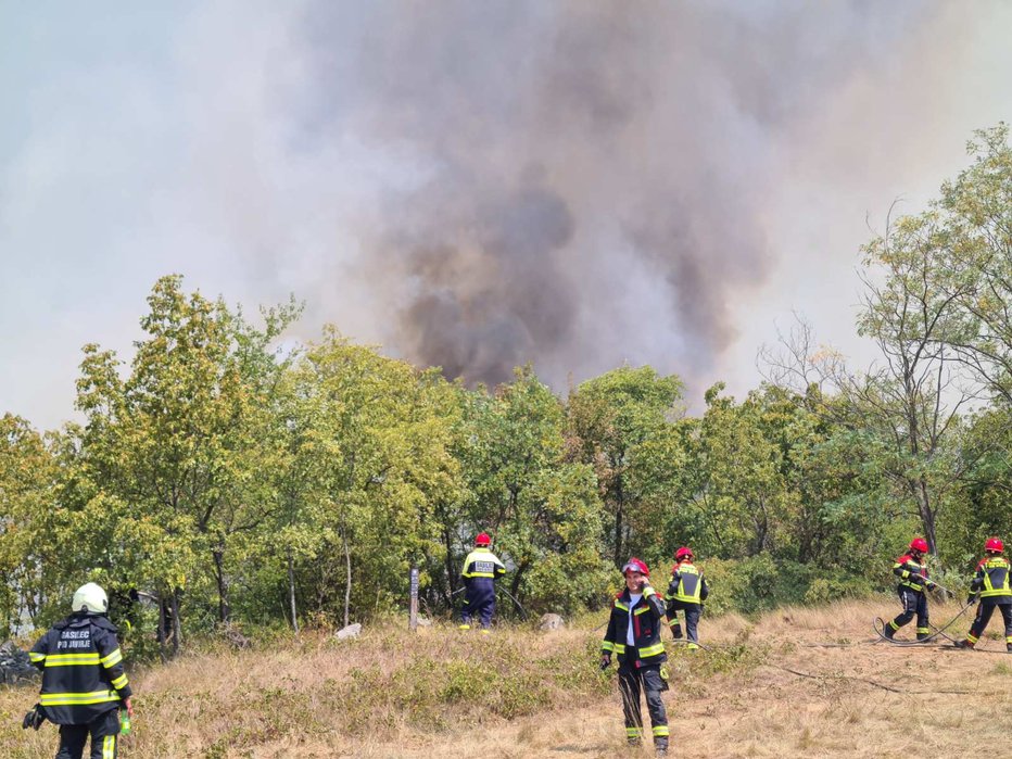 Fotografija: Spopadli so se še s požarom na hribu Veliki Ovčnjak. FOTO: Uprava za zaščito in reševanje
