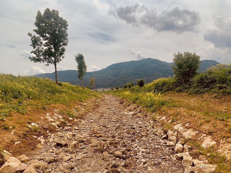 Fotografija: Presahla struga potoka Trnavca pri Žovneku FOTO: RD ŠEMPETER
