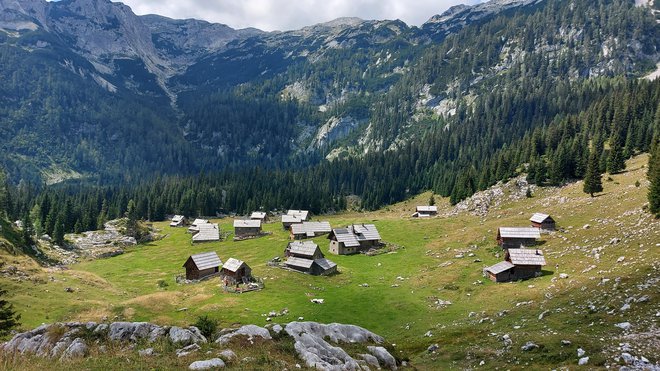 Na slikoviti bohinjski planini čas teče drugače kot v dolini.
