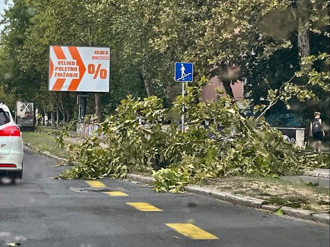 Veter je divjal po Ljubljani. FOTO: bralec Darko
