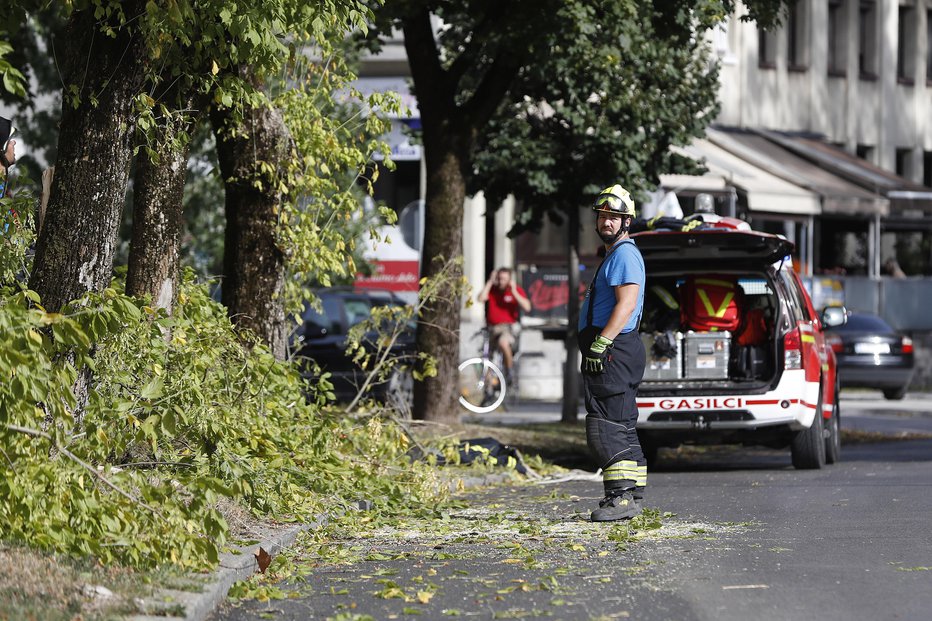 Fotografija: Posledice močnega vetra. Ljubljana, 18. avgust 2022. FOTO: Leon Vidic, Delo
