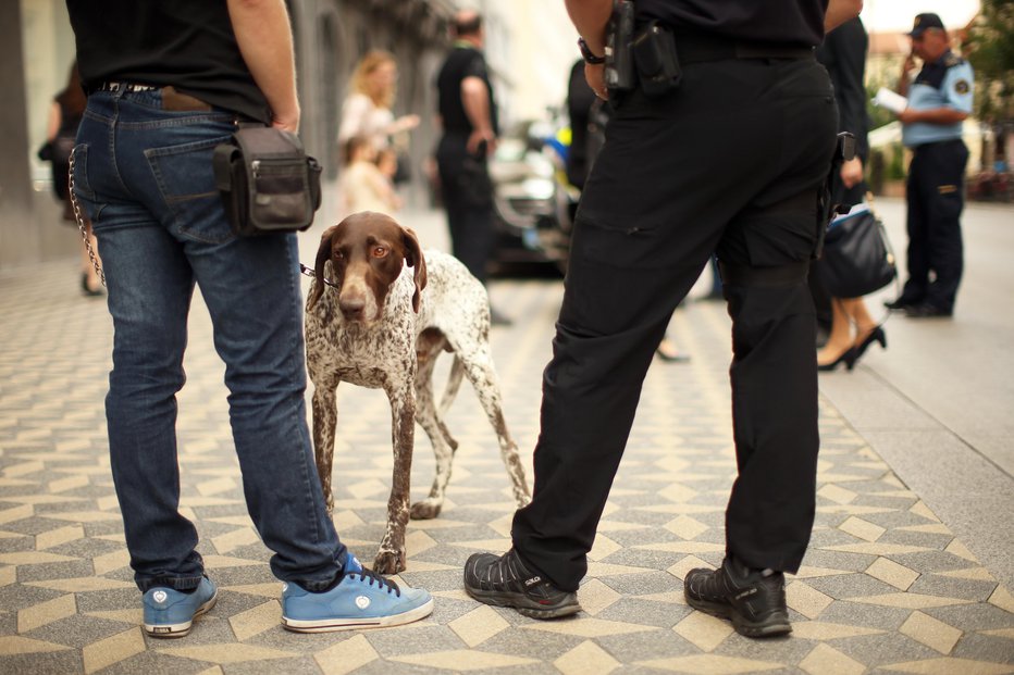 Fotografija: Moška sta stara okoli 20 let, en oblečen v sivo majico, visok med 170 in 175 cm, drugi visok okoli 170 cm in močnejše postave. Fotografija je simbolična. FOTO: Foto: Jure Eržen, Delo
