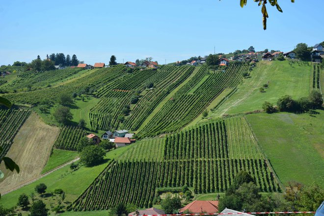 Prednost pri nakupu imajo mlade družine.
