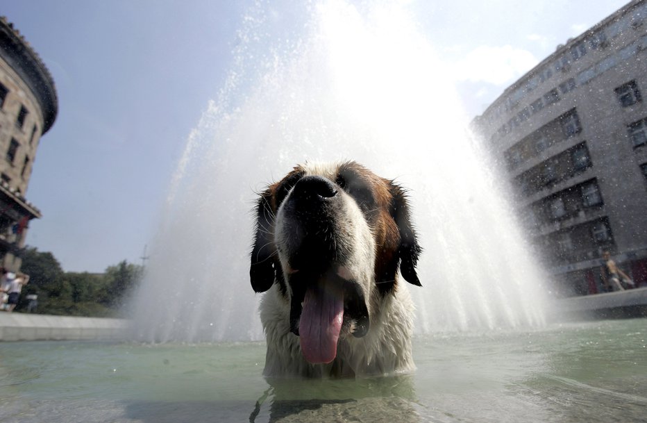 Fotografija: FOTO: Marko Djurica/Reuters
