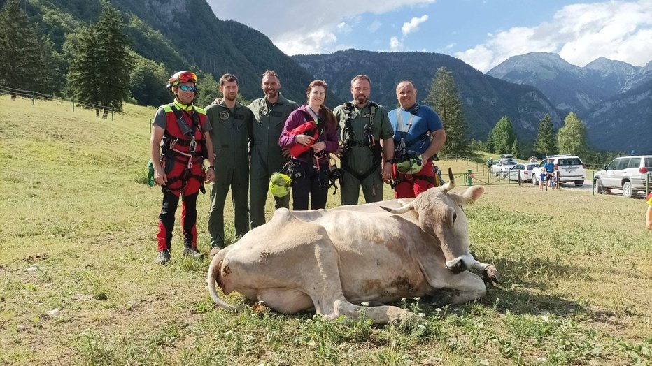 Fotografija: Vsako življenje šteje. FOTO: GRZS
