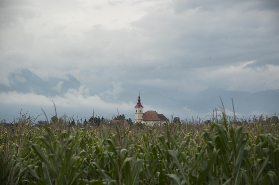 Fotografija: FOTO: Jure Eržen, Delo
