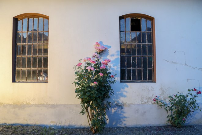 Pri kompresorski postaji rudnika Hrastnik se bodo danes kuhale same dobrote! Foto: Marko Feist
