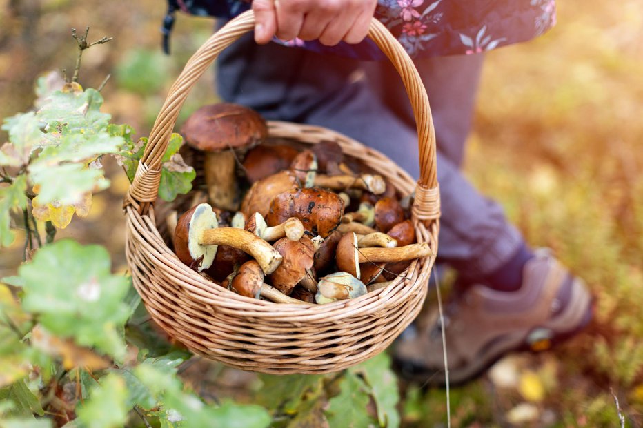 Fotografija: Fotografija je simbolična. FOTO: Piksel Getty Images/istockphoto
