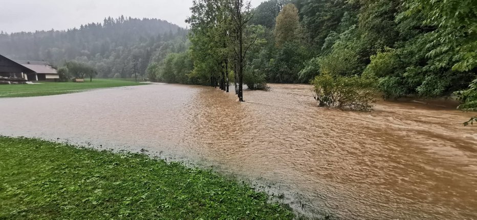 Fotografija: Simbolična fotografija. FOTO: Borut Šorli
