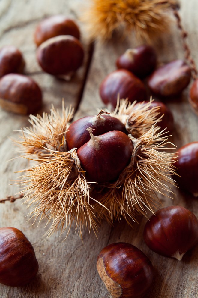 Naberemo ga lahko dva kilograma na dan. FOTO: Joannatkaczuk, Getty Images
