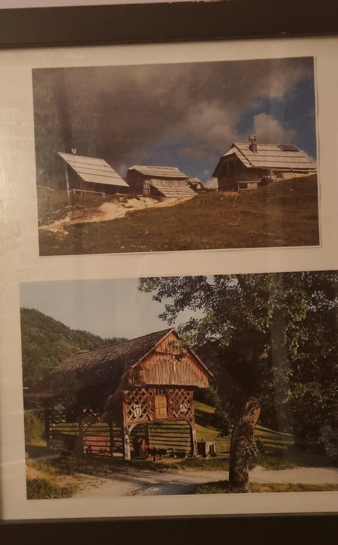 Na steni newyorške pekarne visijo slike Slovenije. FOTO: osebni arhiv
