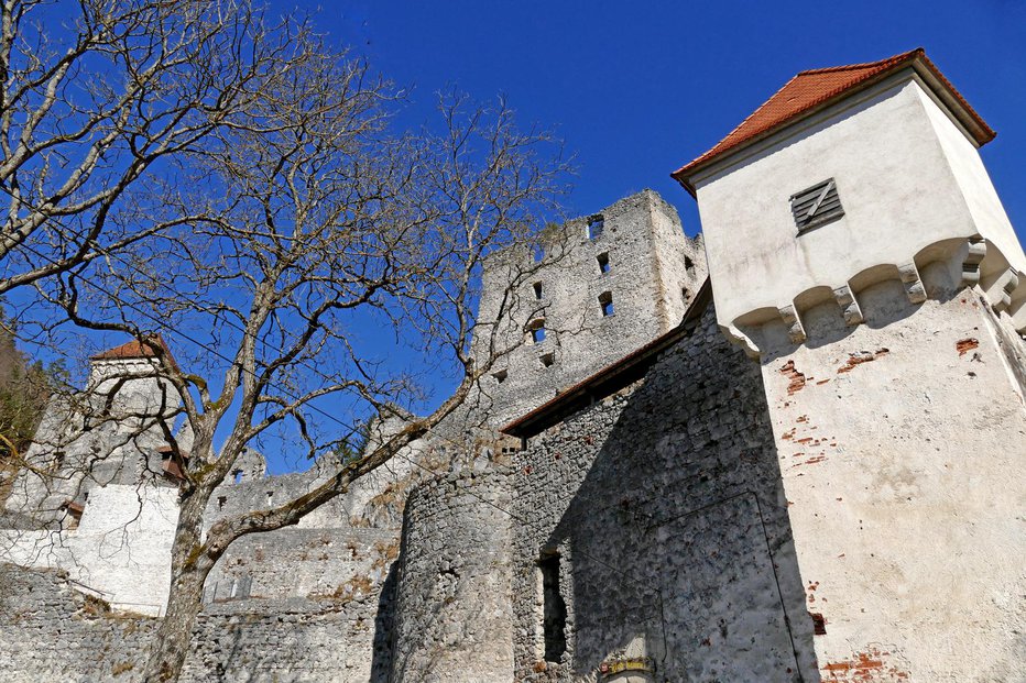 Fotografija: Grad Kamen počasi obnavljajo. Foto: Primož Hieng
