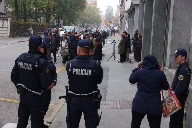 Nevladne organizacije pred vlado. FOTO: Črt Piksi
