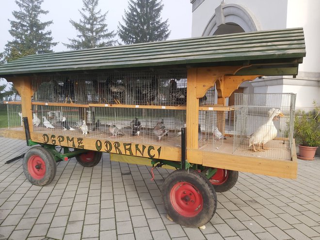 Tiste živali, ki niso mogle v cerkev, so blagoslov prejele na dvorišču.
