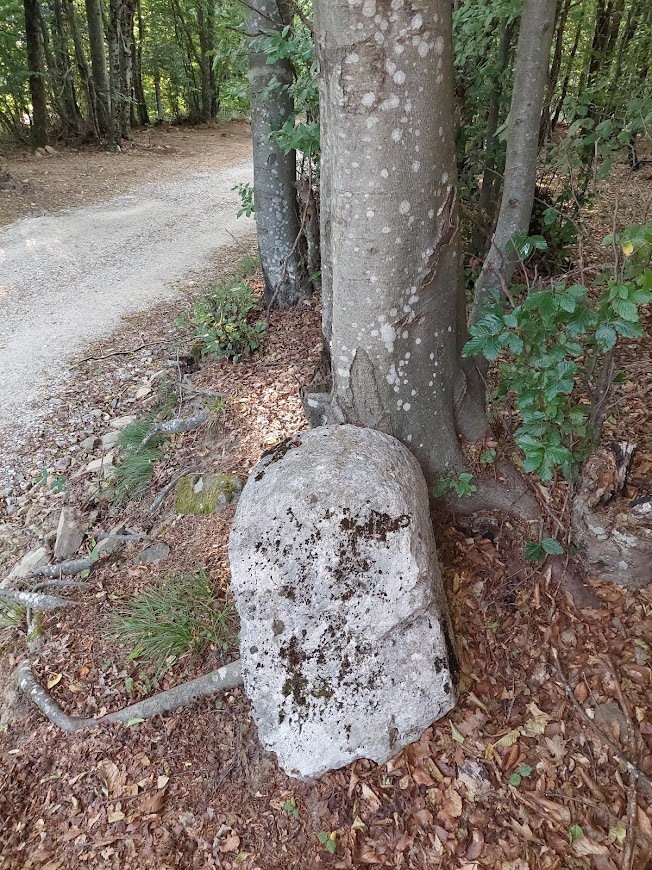 Križen drev leži na 797 metrih nadmorske višine. Obdajajo ga vasi Slope, Rodik, Podgrad in Artviže. Je arheološko najdišče.
