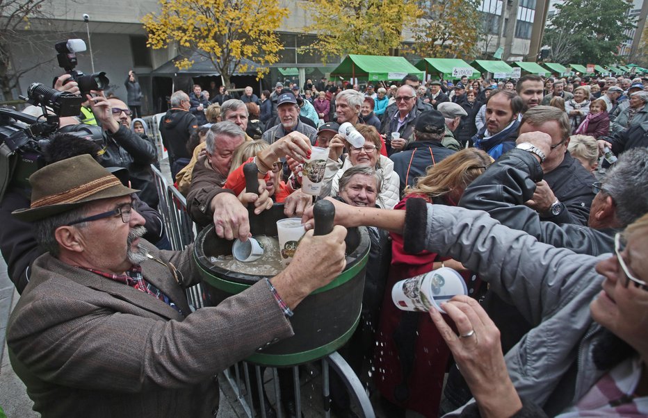 Fotografija: FOTO: Tadej Regent/delo
