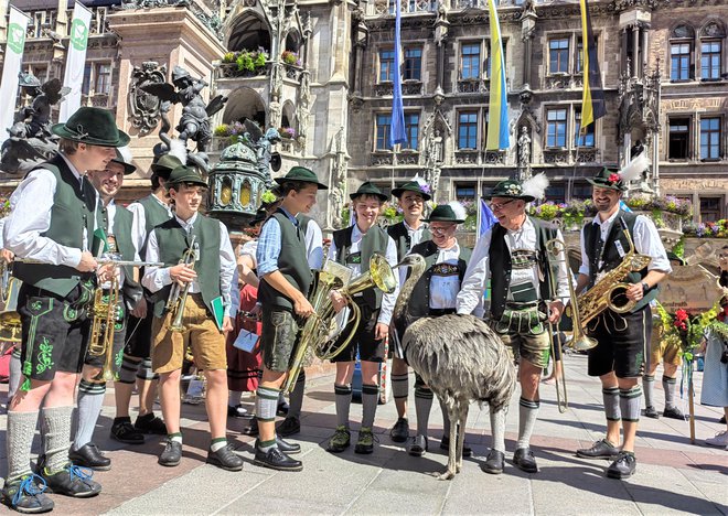 Korošci ga že poznajo. Fotografija je bila posneta v Münchnu.
