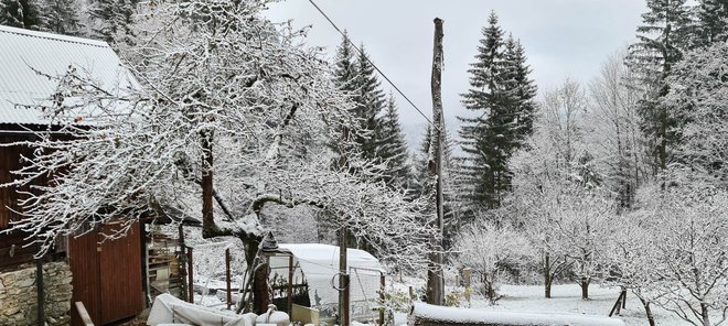 Črno je pobelilo. FOTO: bralka Teja
