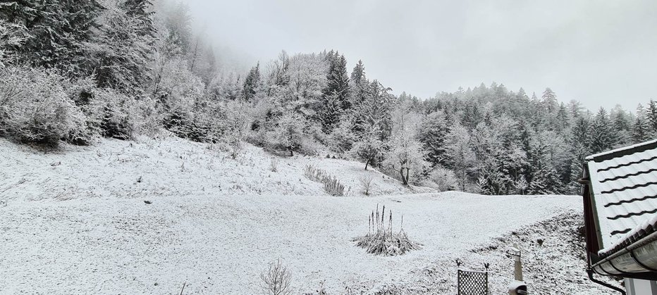 Fotografija: Črno je pobelilo. FOTO: bralka Teja
