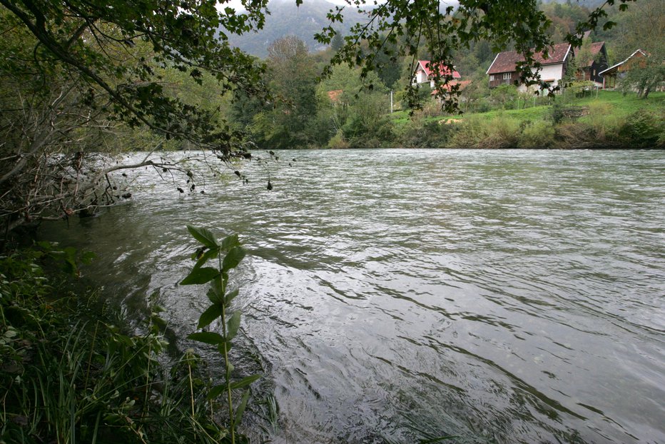 Fotografija: Fotografija je simbolična. FOTO: Dejan Javornik, Delo
