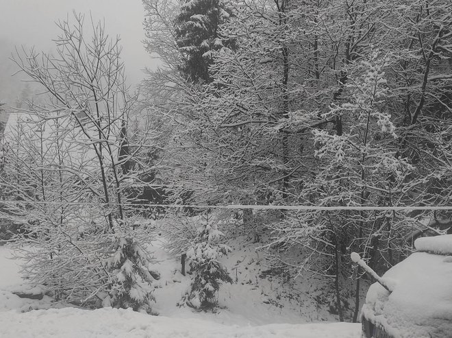 Sneg na Zaplani. FOTO: Bralka poročevalka
