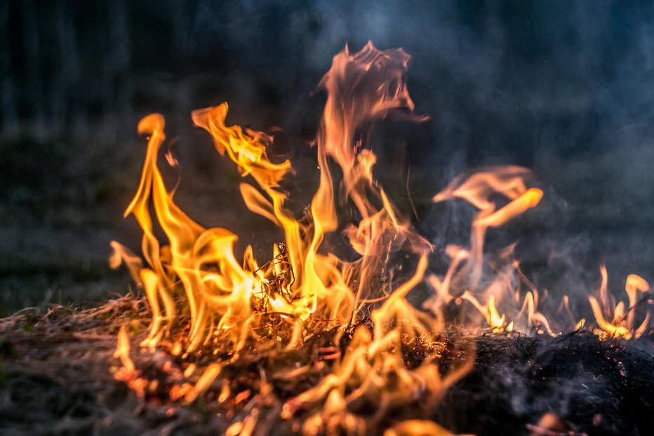 Fotografija: Fotografija je simbolična. FOTO: Tonyfuse, Getty Images/istockphoto
