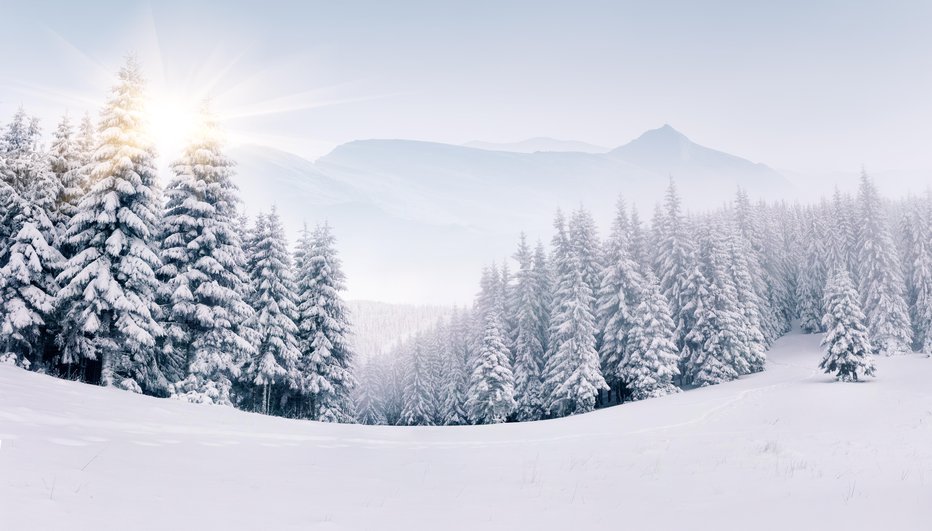 Fotografija: Za obstanek snega mora biti dovolj nizka tudi temperatura tal. FOTO: Andrew_mayovskyy/Getty Images
