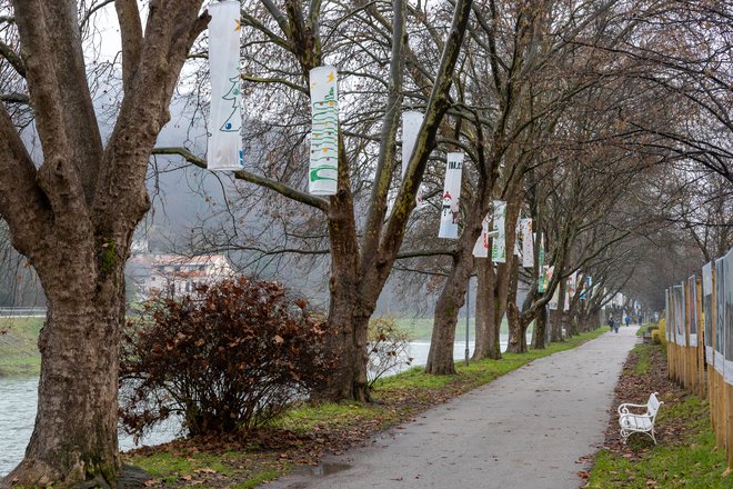 Okrašeno Savinjsko nabrežje v Celju. FOTO: Matic Holobar
