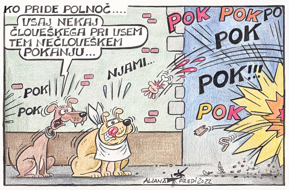 Fotografija: KARIKATURA: Aljana Fridauer Primožič
