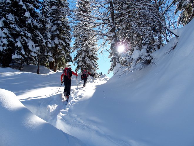 FOTO: Danjel Mavrič
