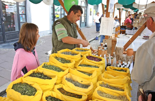 Kalanovi imajo na Kozjanskem svojo zeliščno kmetijo. Foto: Primož Hieng
