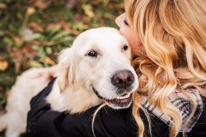 Labradorci so zelo dovzetni za izpolnjevanje človeških ukazov, a ne blestijo ravno pri prostorski orientaciji. FOTO: Ilona Shorokhova/Getty Images
