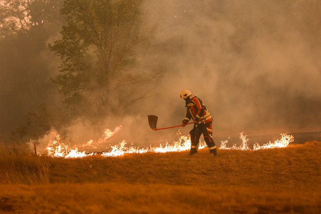 Požar na Krasu. FOTO: Črt Piksi
