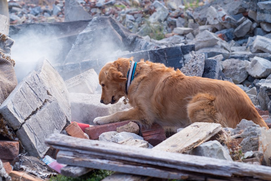 Fotografija: Simbolična fotografija. FOTO: Depositphotos
