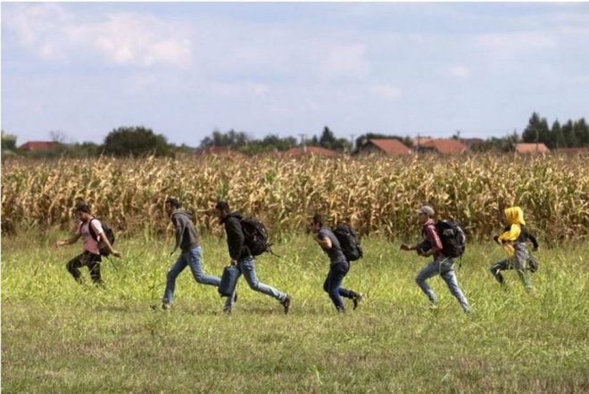 Iskali so voznike za prevoz tujcev čez Madžarsko, od meje s Srbijo do meje z Avstrijo, kamor so migranti vstopili peš. FOTO: Policija
