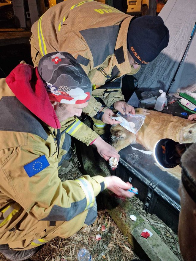 Pet slovenskih psov izmed sedmih se je poškodovalo med iskanjem preživelih po ruševinah. FOTO: Osebni arhiv
