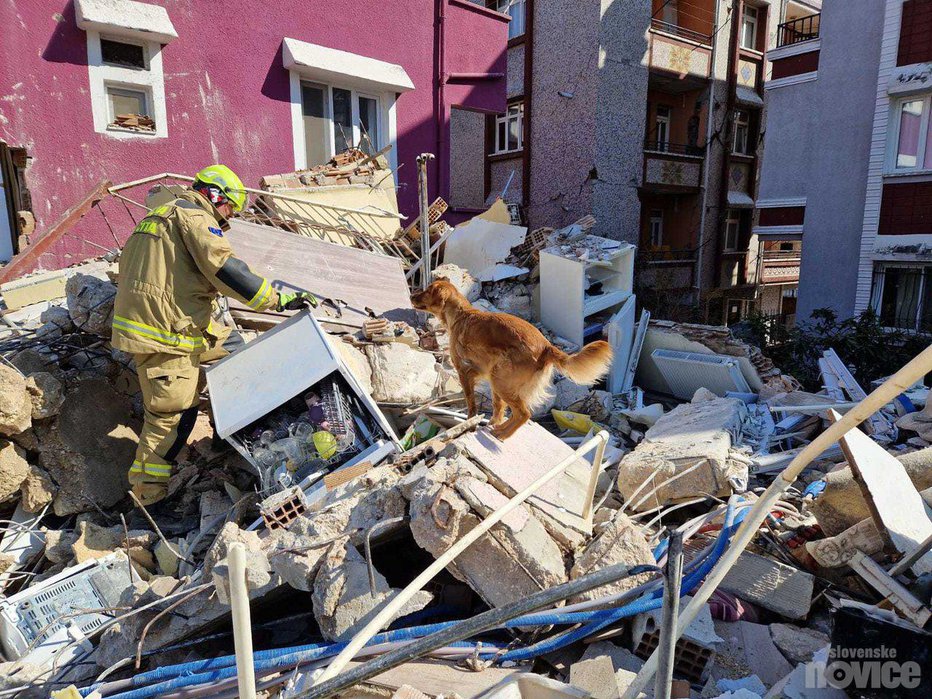 Fotografija: Delo slovenskih reševalnih psov in vodnikov je bilo zelo zahtevno. FOTO: Uprava za zaščito in reševanje
