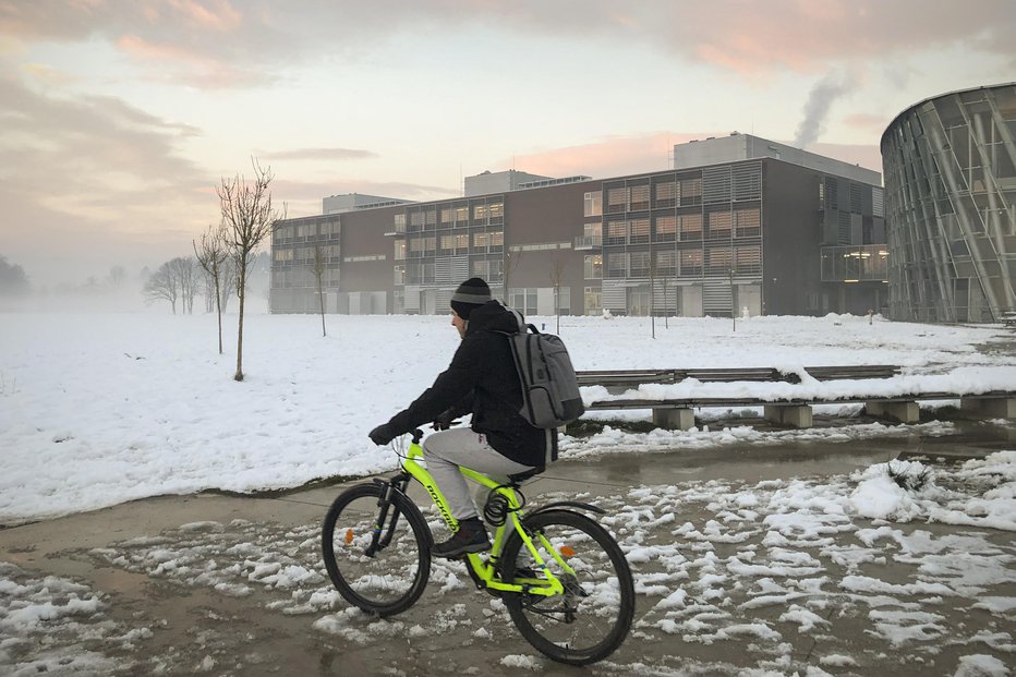 Fotografija: Biotehniške fakultete zaradi omejenega dostopa na posest niso uspeli oceniti. FOTO: Jure Eržen
