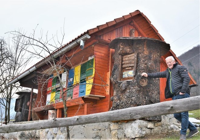 Joži ob svojem čebelnjaku, posebnem zaradi dveh velikih drevesnih panjev
