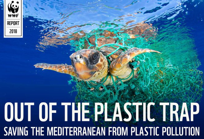 Rešimo Mediteran pred plastiko WWF. FOTO: WWF
