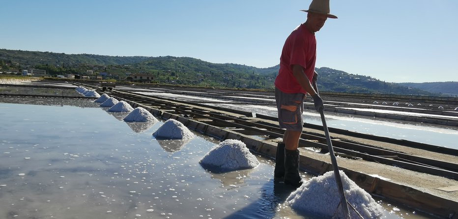 Fotografija: Sol je kristal, sestavljen iz natrija in klorida, dejanskih hranil, ki jih sol vsebuje. In tako natrij kot klorid sta nujno potrebna za normalno presnovo v telesu. FOTO: Boris Šuligoj
