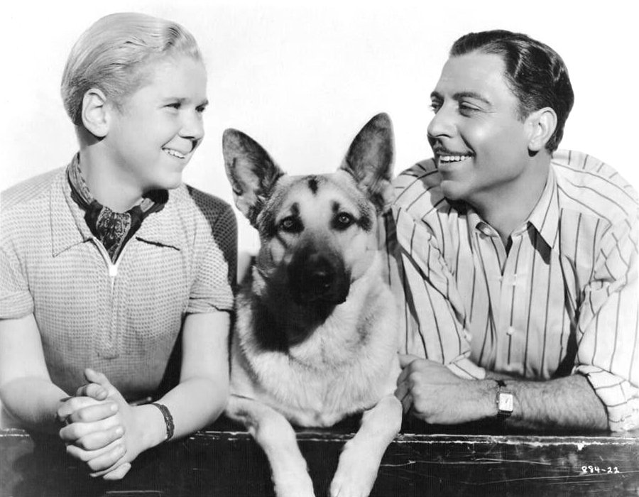 Fotografija: Rin Tin Tin je bil ena največjih filmskih zvezd na svetu. FOTO: Wikipedia