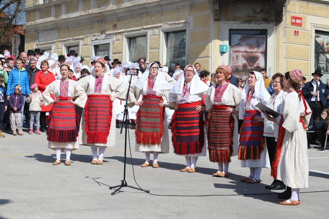 Folklorna skupina Izvor iz Metlike deluje v Društvu Žumberčanov in prijateljev Žumberaka Metlika.