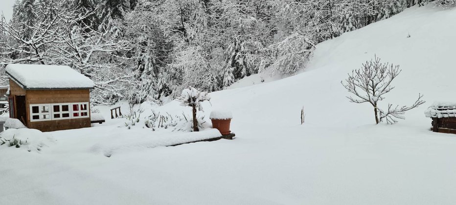 Fotografija: Tako je pobelilo Koroško. FOTO: Bralka Tina