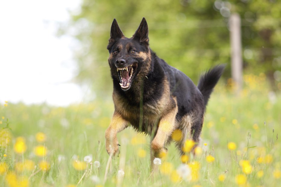 Fotografija: Fotografija je simbolična. FOTO: Anjajuli Getty Images/istockphoto