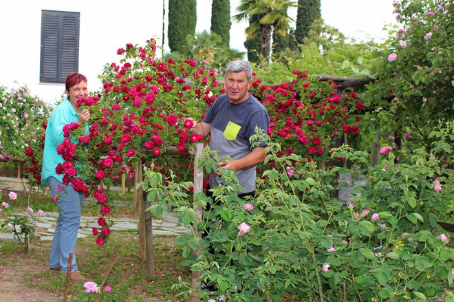 Z burbonkami sta ustvarjala florista Sabina Šegula in Marjan Česen. FOTO: Osebni arhiv