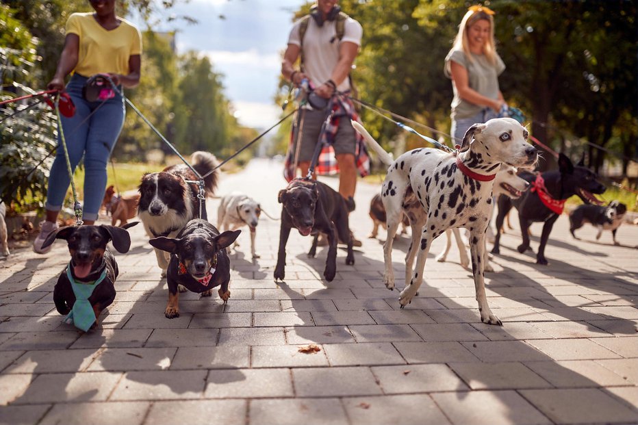 Fotografija: Fotografija je simbolična. FOTO: Luckybusiness Getty Images/istockphoto