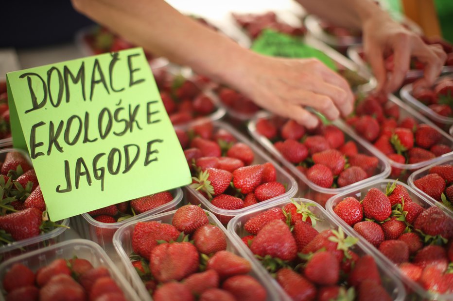 Fotografija: Dokazano je, da jagode zmanjšujejo tveganje za razvoj številnih srčno-žilnih bolezni. FOTO: Jure Eržen