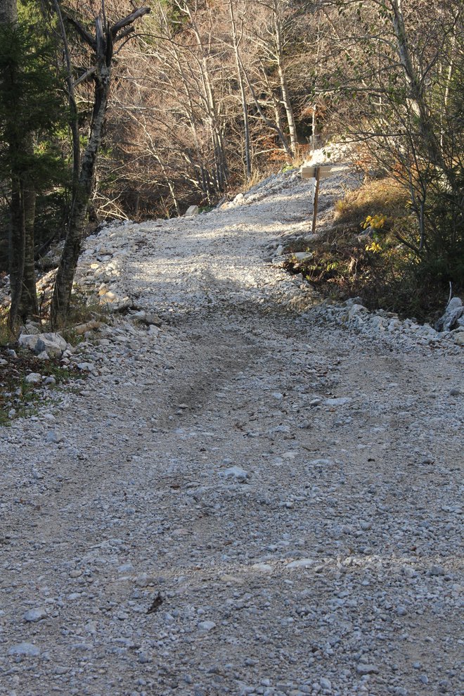 Gozdna cesta ni bila dovolj široka. Simbolična fotografija. FOTO: Boštjan Fon